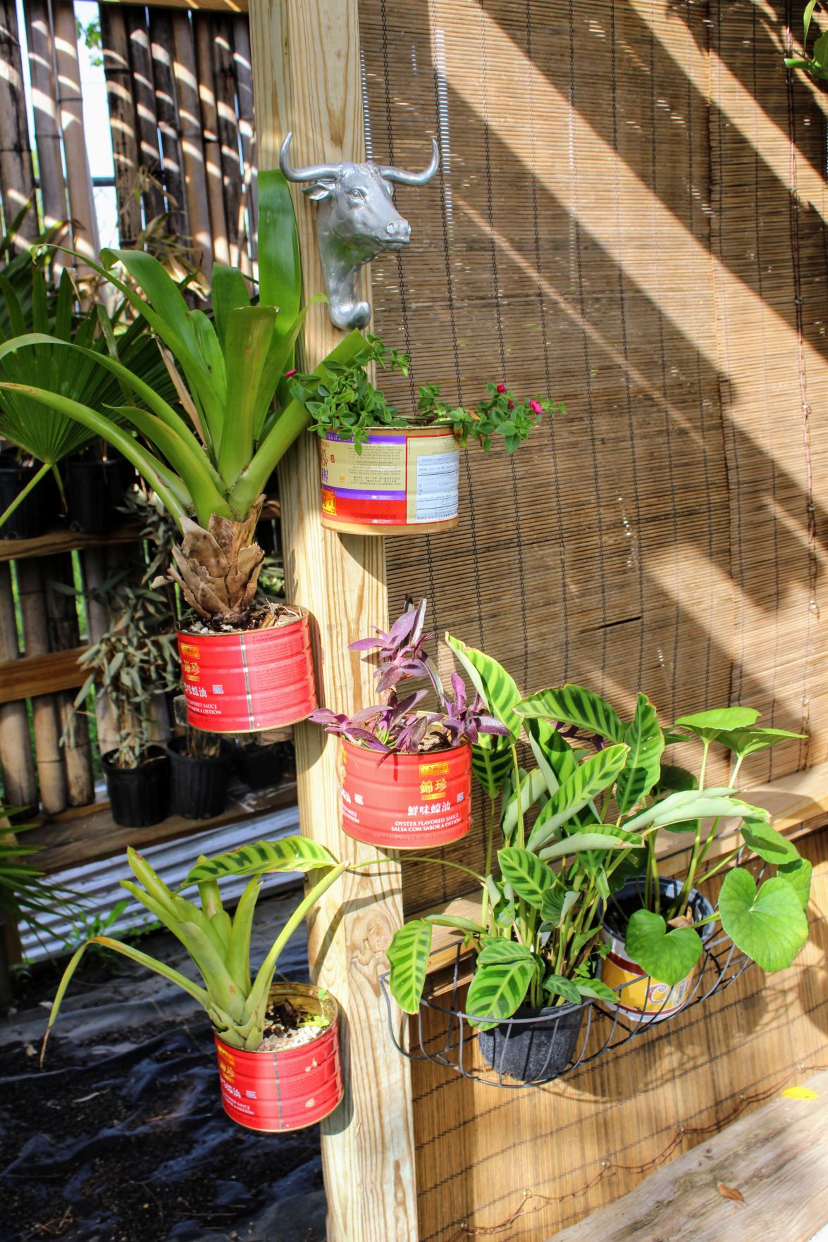 Repurposed Planters.jpg